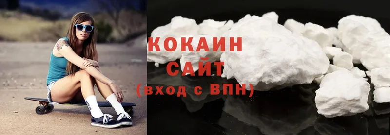 Кокаин Fish Scale  MEGA онион  Нижняя Салда 