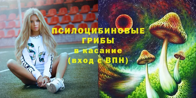 Галлюциногенные грибы ЛСД  Нижняя Салда 